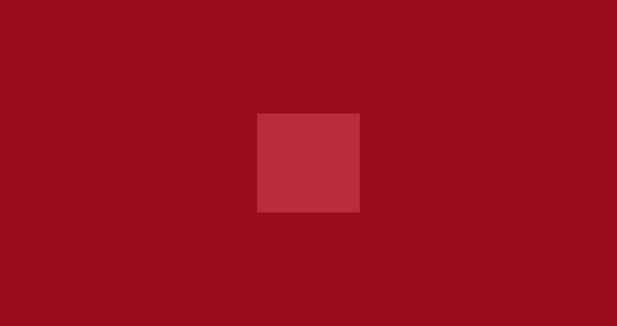 Multimedia animated icon animated high quality stop