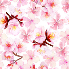 Cherry blossom branch with delicate pink petals seamless pattern. Hand-painted watercolor clip art isolated on white, perfect for spring decor, wedding invitations, Asian design, or floral projects