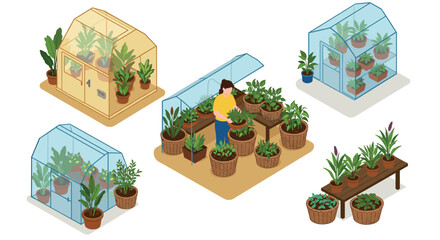 Naklejka premium Isometric greenhouses and indoor gardening with lush plants and pots