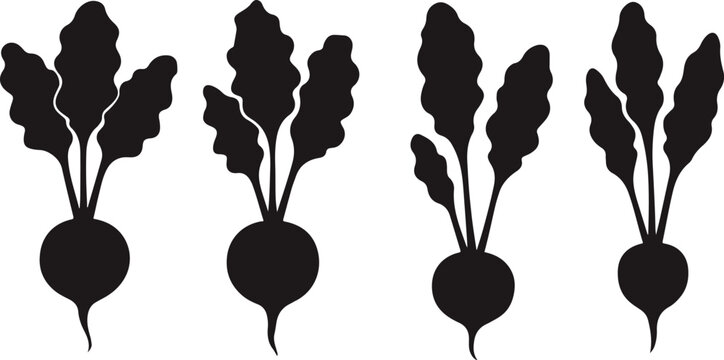 Four simple vector silhouettes of beetroots for cooking, farming, or healthy eating design isolated PNG with Transparent Background