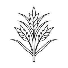 Wheat Barley Rice Icon Hand Drawn Vector.A Vector Icon.