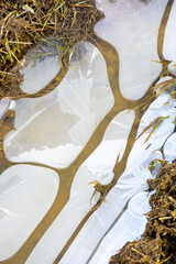 ice frozen tire track on dirt road. mud and frost pattern. close up view of off road terrain...