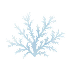 Fototapeta premium Frosty Winter Branch in Watercolor Style