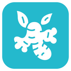 Ginger icon vector image. Can be used for Fruits and Vegetables.
