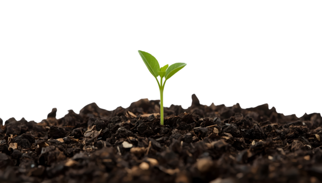 Green seedling sprouting from rich soil on the transparent background symbolizing growth, nature, ecology, and new beginnings