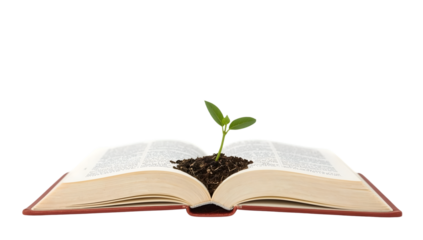 Open book with green seedling growing from soil on pages symbolizing knowledge, education, growth, learning, and nature on the transparent background