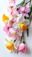 Springtime Bloom: An array of delicate flowers burst forth, showcasing the season's fresh, vibrant hues and textures, celebrating the beauty and renewal of springtime.