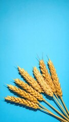 Golden Wheat on Azure Canvas: A minimalist composition showcasing golden wheat stems against a striking azure backdrop, symbolizing the purity and simplicity of nature's bounty.