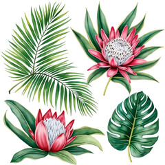 Leaves on a transparent background.