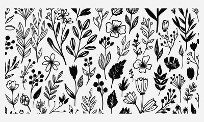 Fototapeta premium Botanical Illustration Collection Black and White Flower and Plant Vector Set
