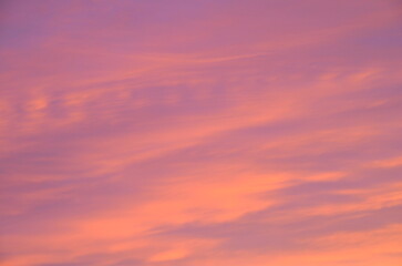 Obraz premium Winter sunset in pink, orange and lilac