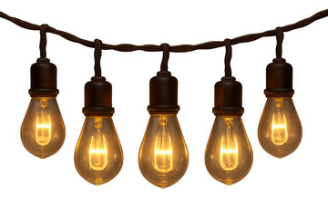 String light garland with glowing edison bulbs illuminating a warm festive atmosphere, transparent background