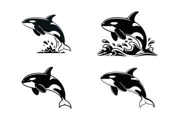 Fototapeta premium Majestic Orcas in Action A Striking Collection of Killer Whale Illustrations for Marine Life Enthusiasts