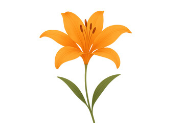 Orange lily flower illustration showing botanic detail and vibrant colors with a transparent background for design elements