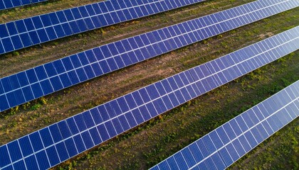 Solar panels in field with aerial view.