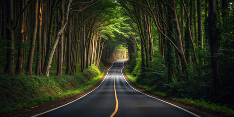 Obraz premium Serene road winds through lush, green forest, creating peaceful and inviting atmosphere