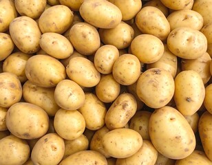 Overhead shot reveals a pile of freshly harvested, small, round root vegetables. The beige-colored potatoes show varied shapes and sizes