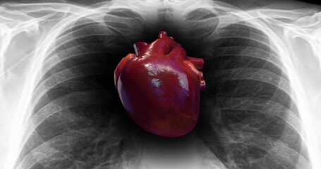 Pumping heart and vein animation showing blood cells flowing. Medical and health related 3D animation. - Powered by Adobe