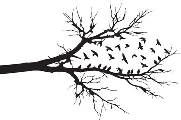 Silhouette of Tree Branch with Flying Birds Vector Illustration 