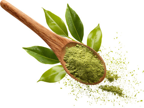 Green tea powder wooden spoon fresh leaves organic natural energy boost