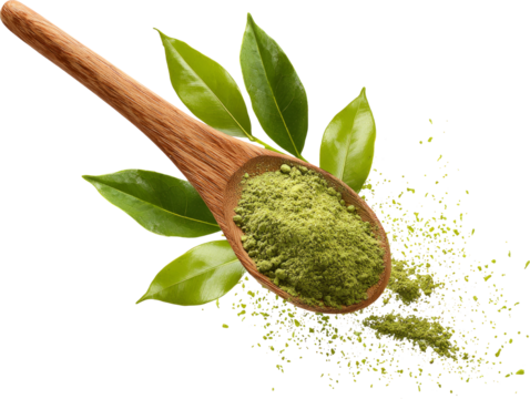 Green tea powder wooden spoon fresh leaves organic natural energy boost