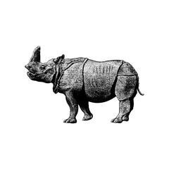 Fototapeta premium illustration of an Embolotherium, a prehistoric mammal resembling a rhinoceros with a distinctive horn-like crest on its head. 
