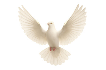 Obraz premium White dove flying with wings spread, a symbol of peace, hope, freedom, and spirituality on transparent background