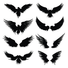 Obraz premium angel wing silhouette