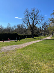golf course in the morning