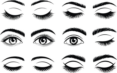 Fototapeta premium Collection of hand drawn eyelashes and eyebrows in various expressions