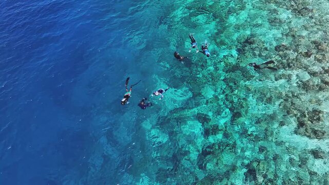 Aerial view of snorkelers exploring the vibrant coral reef, contrasting with the deep blue sea, a stunning display of nature's beauty, Kamadhoo, Baa Atoll, Maldives.
