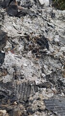 Close-up of a pile of mixed ash and burnt debris, revealing intricate textures and varying shades of gray, black, and white. A stark representation of destruction and the aftermath of fire.
