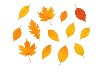 Naklejka premium Autumn leaves falling, scattered maple, oak, and other tree foliage creating a vibrant seasonal background on transparent