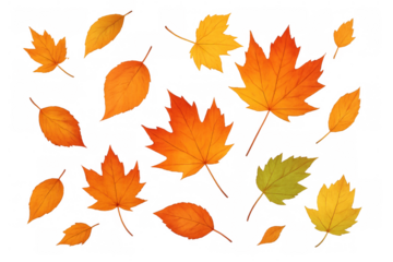 Autumn leaves displaying various traditional fall colors, falling and floating, useful for seasonal designs on a transparent background