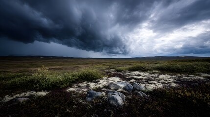 Dramatic storm clouds loom over a vast desolate tundra landscape with moss and low shrubs