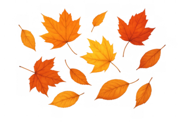Autumn season leaves falling, featuring various maple and elm foliage in vibrant orange, yellow, and red colors