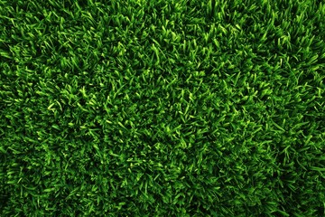 Vibrant green grass texture showcasing lush blades for landscape design enthusiasts and gardening aficionados seeking natural lawn inspiration