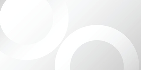 Abstract minimalist white and gray curve modern background. texture white pattern. vector