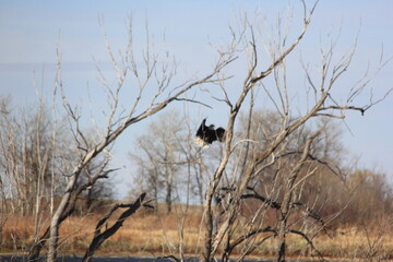 Abandoned Places and Scenery Near Earl Grey Saskatchewan