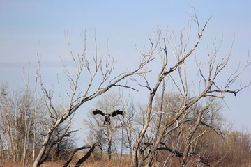 Obraz premium Abandoned Places and Scenery Near Earl Grey Saskatchewan