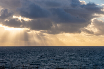 Obraz premium Paysage nuageux avec des rayons de lumière traversant les nuages, de petites plantes au premier plan et la mer en arrière-plan, créant une scène naturelle apaisante et lumineuse.