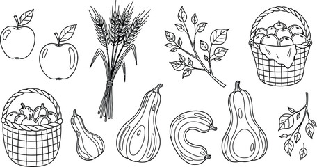 Doodle icons of harvest season apples, wheat, baskets, gourds, and autumn branches, minimal line art.