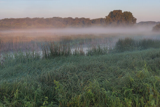 morning mist over swamp - Powered by Adobe