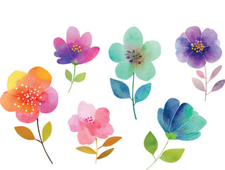 set of watercolor flowers