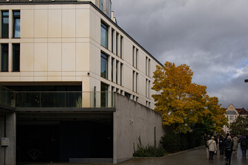 Modern City Building with Autumn Tree and People Walking on Street