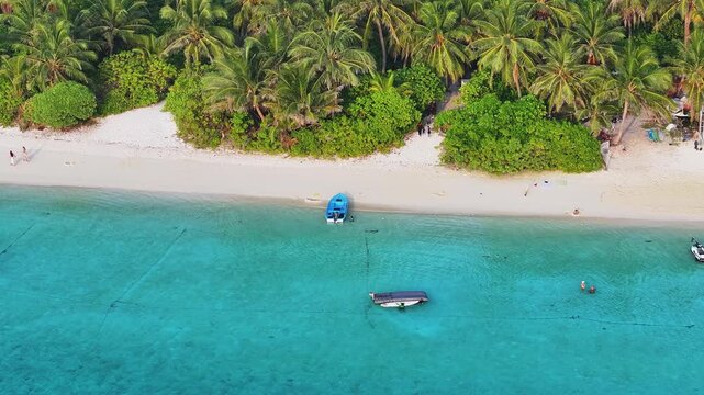 Aerial view of boats on turquoise water, meeting the white sandy beach, lined with green palm trees, creating a tropical paradise, Thoddoo, Alif Alif Atoll, Maldives.