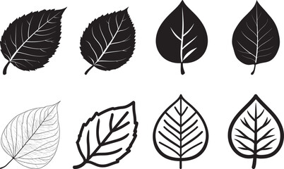 Fototapeta premium A set of black and white leaf silhouettes vector illustration