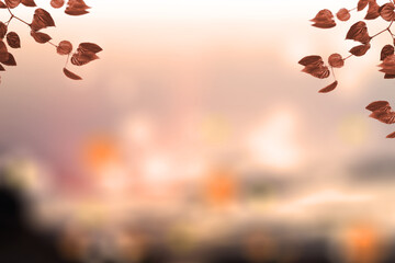 Frame of brown leaves with blurred background. Copy space. Autumn season background