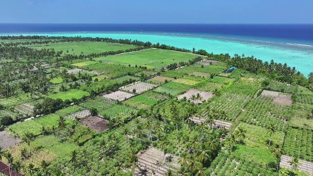 Aerial view of lush green fields meet the turquoise ocean, creating a vibrant contrast of colors and textures, Thoddoo, Alif Alif Atoll, Maldives.