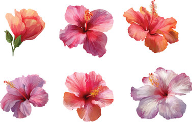 set of flowers isolated on white